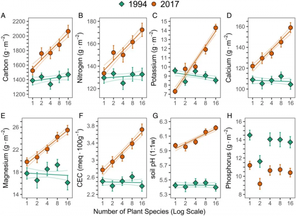 26年實驗！科學家證實植物多樣性改善土壤肥力