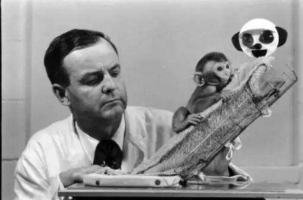 他哭任他哭，我看任我看，新育兒觀念？