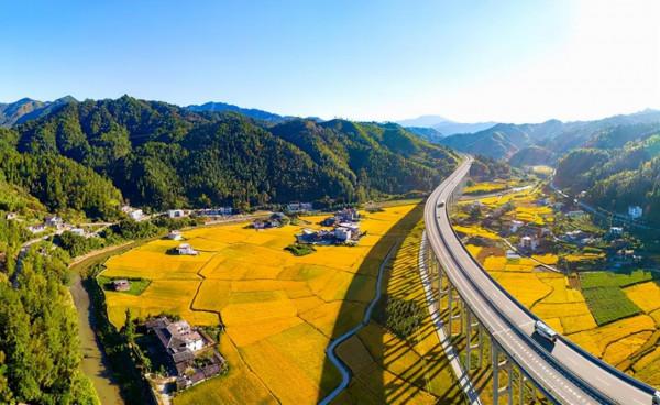 五個鎮級鄉村振興發展路徑（五）——綠色迴圈發展路徑