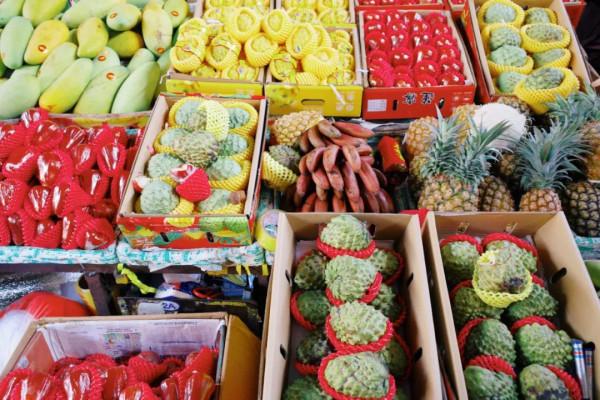 在這裡我毫不焦慮，還實現了水果自由