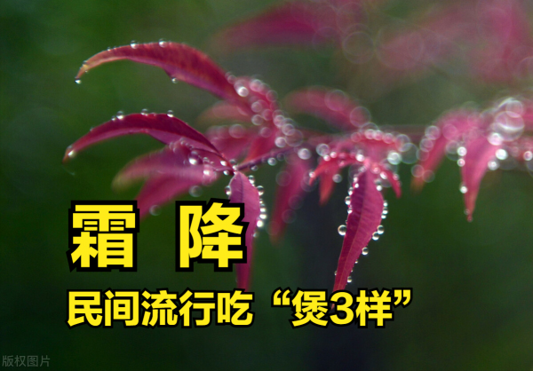 明日霜降，民間流行吃“煲3樣”，既禦寒又貼膘，安心順利過深秋