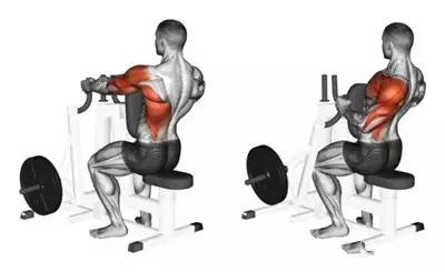 不練背容易駝背,練背的方法大全都在這裡了 不練背容易駝背,練背的方法大全都在這裡了