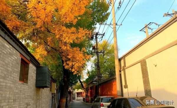 沒有人捨得在秋天離開北京 沒有人捨得在秋天離開北京