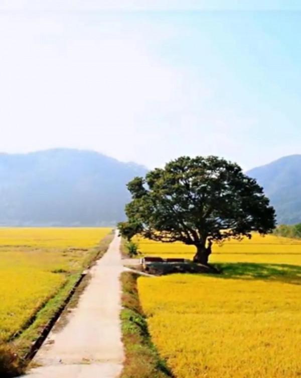 七律· 壟 上 行