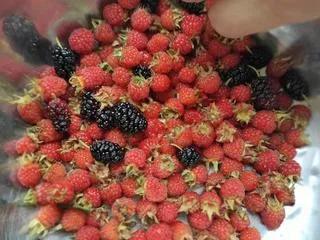 野菜野草的藥用價值高