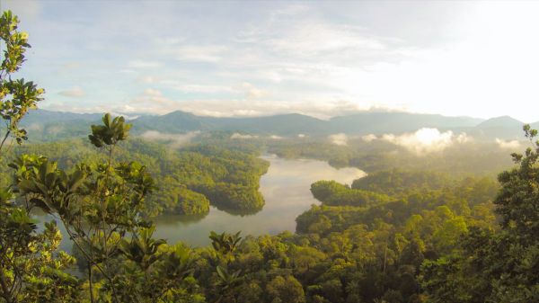 老謀深算，又隨性自在的星座，他們如同狐狸般狡猾，一直惹不起