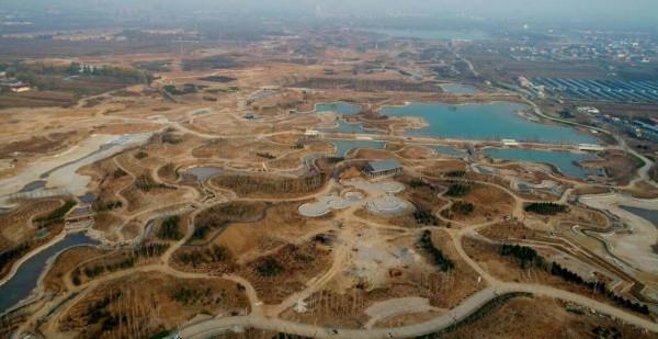 新疆男子沙漠5畝池塘養澳洲淡水蝦,個頭比手掌大,畝利潤達萬元 新疆男子沙漠5畝池塘養澳洲淡水蝦,個頭比手掌大,畝利潤達萬元