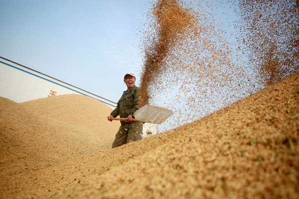 一有風吹草動，各國就捂住口袋！陳錫文：全面小康之後，僅僅達到糧食安全是不夠的