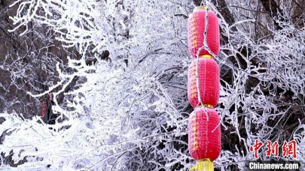 青海互助霧凇冰瀑連綿數里 玉樹瓊枝似“白色王國”