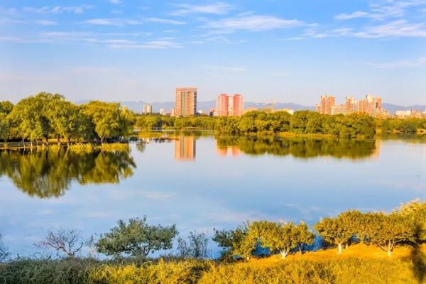 快來！您想欣賞的秋景，都在濱河公園