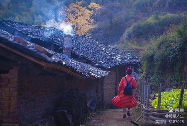 匆匆回首又一年