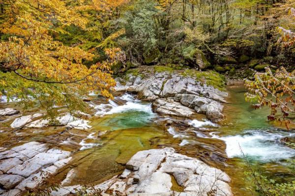 黑熊溝——四川光霧山