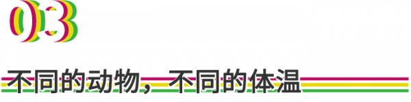 今天，來說說如何給大熊貓“充電”