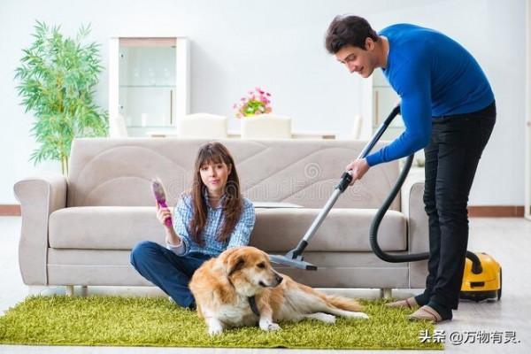 9個方法除掉狗狗身上的跳蚤 9個方法除掉狗狗身上的跳蚤