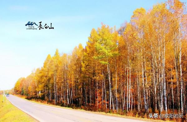 秋去秋來！中國最美的12個地方，你去過幾個？