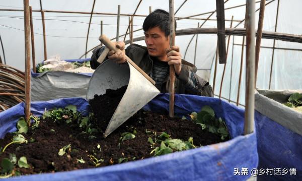 用三種方法自制有機菌肥,簡單又方便,種植蔬菜效果就是好 用三種方法自制有機菌肥,簡單又方便,種植蔬菜效果就是好