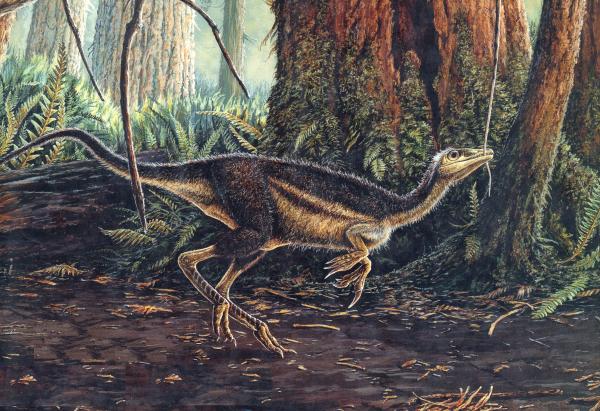 揭秘恐龍化石：億年前這種恐龍，為何被命名為“鳥”？