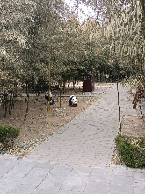 《相見歡.山間深處雲煙》