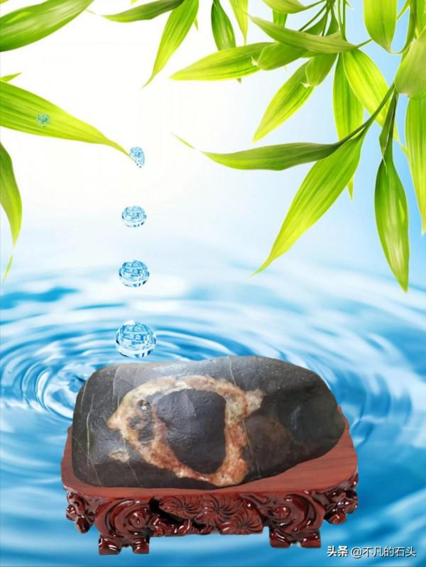 我的奇石全靠撿,有動物、植物、人物、文字等奇石,非常豐富 我的奇石全靠撿,有動物、植物、人物、文字等奇石,非常豐富