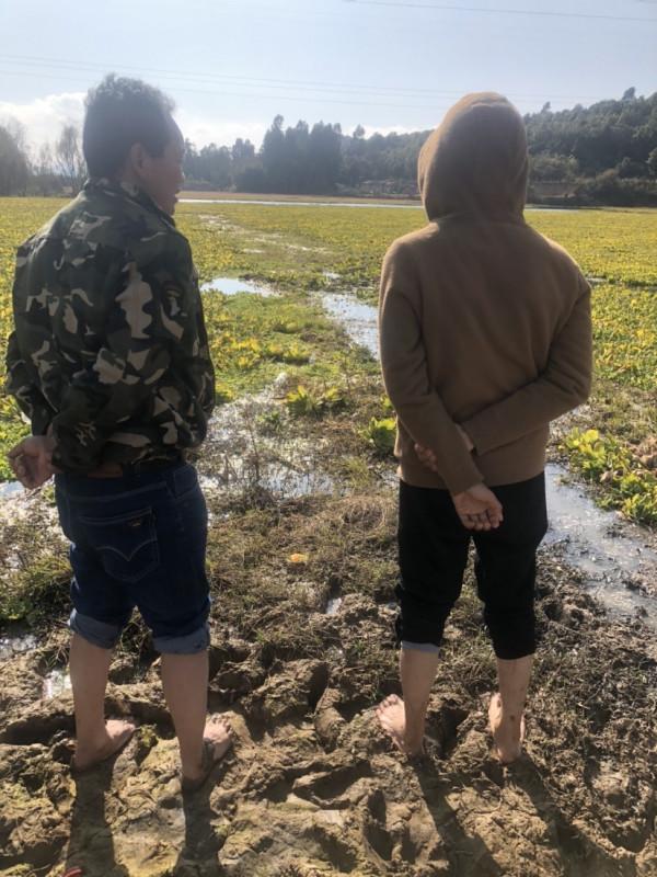 探索沼澤塘有驚無險,黃金小奶鯽齊上岸 探索沼澤塘有驚無險,黃金小奶鯽齊上岸