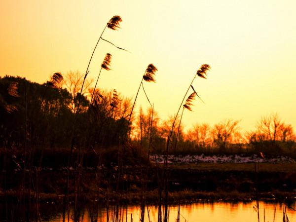 老人常說：“年怕中秋月怕半，人怕中年歲怕夕”，看完又漲知識了
