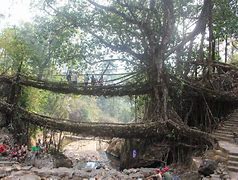 世界風光欣賞&mdash;&mdash;印度，梅加拉亞邦的 Ritymmen 活樹根橋