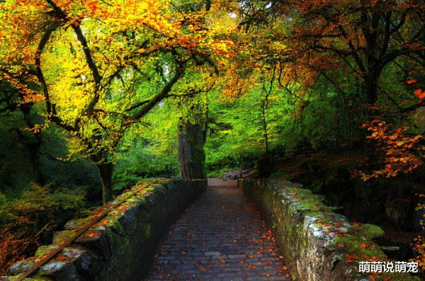 測試:四條道路,哪條讓你不安?秒測出你的心理壓力有多大 測試:四條道路,哪條讓你不安?秒測出你的心理壓力有多大