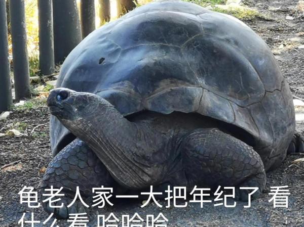奧克蘭動物園一日遊