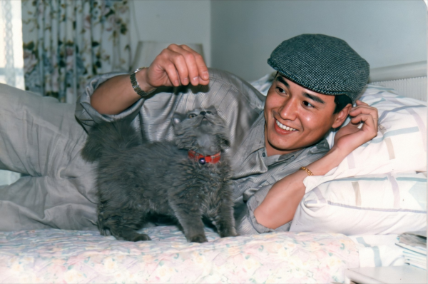 《雪山飛狐》播出31年，8位演員境況差距大，有人離婚，有人單身