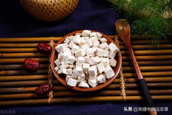 肺虛久咳？源於肺失肅降，送你三味中藥，降氣豁痰，兼可消食