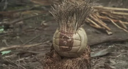 男子荒野獨居7年，與皮球為伴。回家後，老婆改嫁他人，最後釋懷