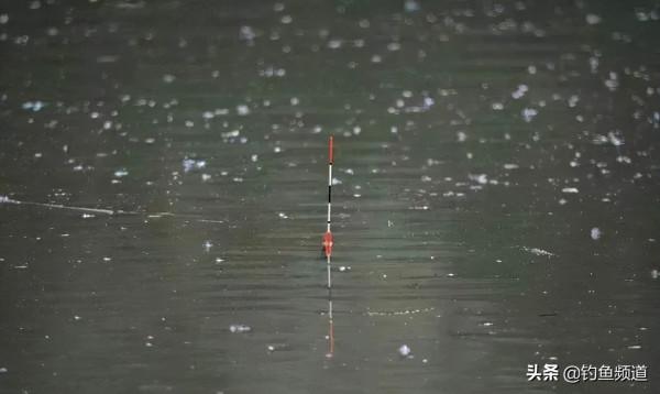 用紅蟲釣魚的這些調漂技巧，助你冬釣輕鬆爆護