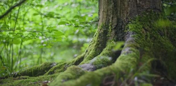 新國標ENF重磅登場，蒂諾一全面升級為你打造健康居家環境