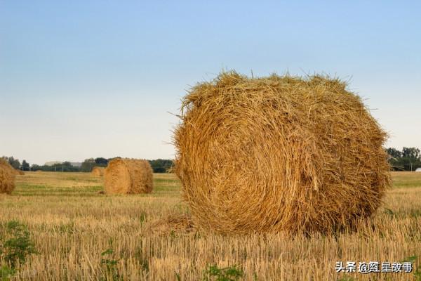 想起軍營“十件背心”的故事 想起軍營“十件背心”的故事
