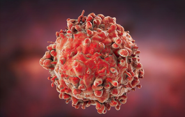 國產遭歧視?科學家打破西方壟斷,為何出現“中國人不要中國貨” 國產遭歧視?科學家打破西方壟斷,為何出現“中國人不要中國貨”