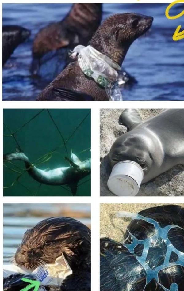 為了一個潔淨的星球 為了一個潔淨的星球