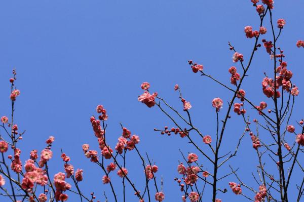 擁抱幸福的春天