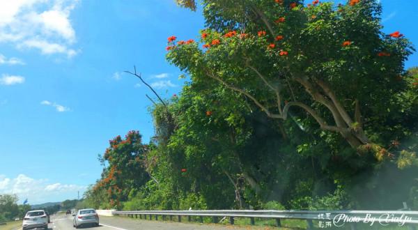 波多黎各之旅(四)遊風洞(CuevaVentana)奇遇世外桃源 波多黎各之旅(四)遊風洞(CuevaVentana)奇遇世外桃源