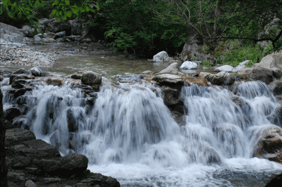 《太平廣記》故事:仙侶奇譚 《太平廣記》故事:仙侶奇譚