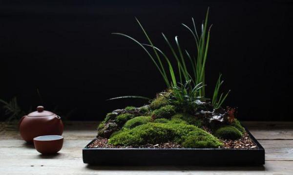 六種帶&OpenCurlyDoubleQuote;毒&rdquo;的花，家裡經常養，越漂亮毒性越大，你養過幾種？