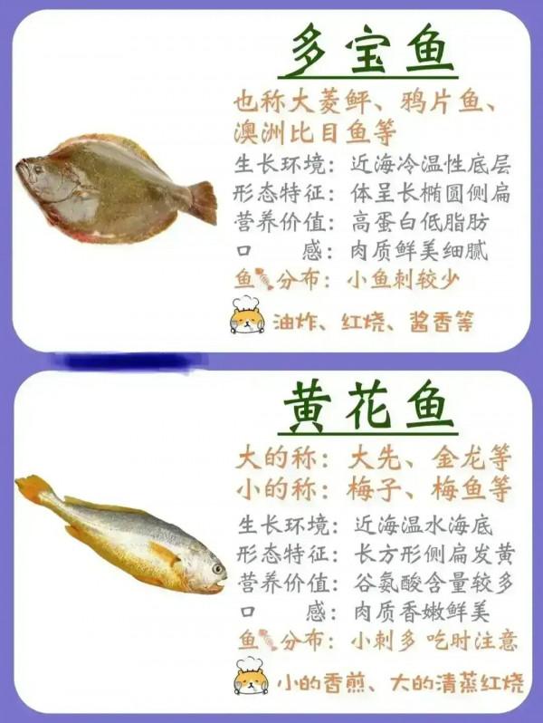 有人跟我一樣喜歡釣魚嗎？