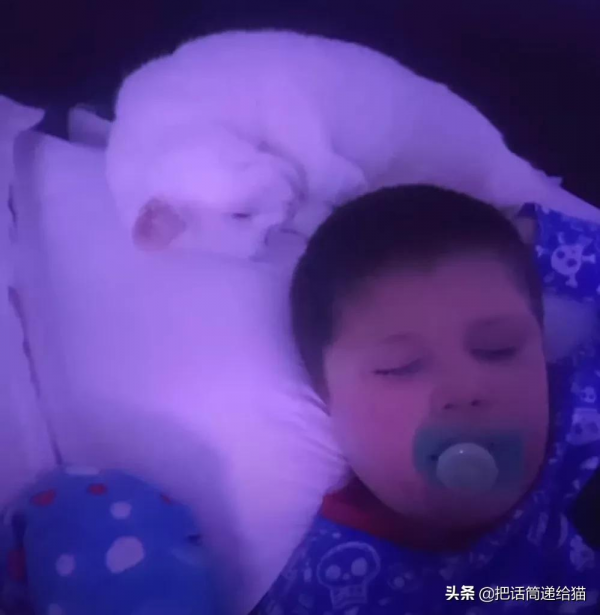 腦癱男孩與他的三腳貓老師:對有些人來說,有貓在就是團圓 腦癱男孩與他的三腳貓老師:對有些人來說,有貓在就是團圓