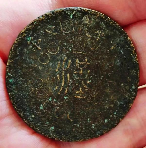 弧廿漢雛菊花50sc7012