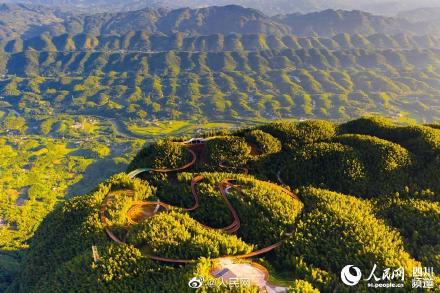 四川宜賓現竹海雲海美如仙境 四川宜賓現竹海雲海美如仙境
