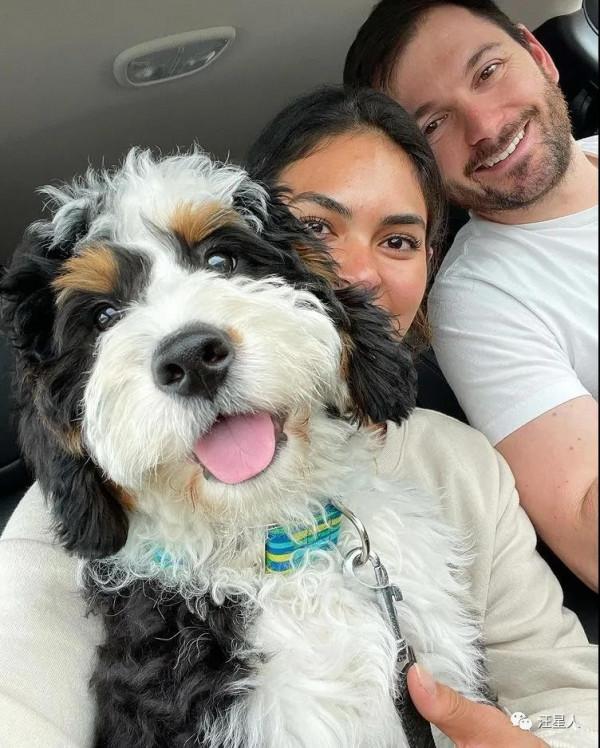 領養了一隻混血狗狗，全網被萌翻：它是動畫片裡跑出來的吧