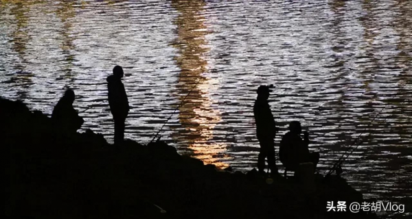 冬季颳風天釣魚,選好釣位很重要,魚群都在這兩個地方 冬季颳風天釣魚,選好釣位很重要,魚群都在這兩個地方