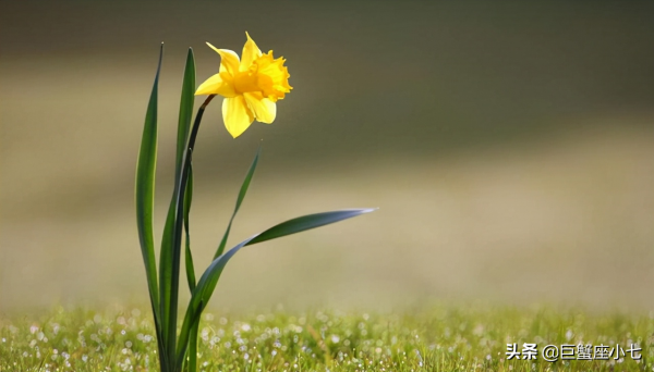 受委屈，被汙衊，不屑解釋的星座：清者自清，懂得人自然懂，夠拽