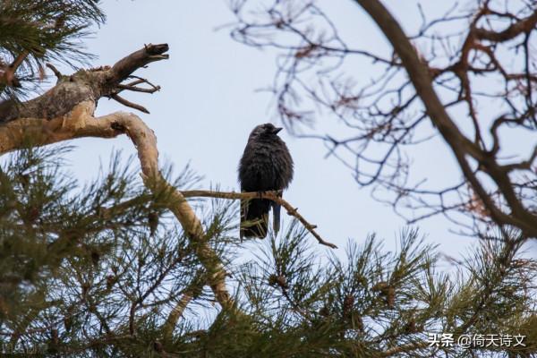 七首相思詞,寫不盡相思句,流不盡相思淚 七首相思詞,寫不盡相思句,流不盡相思淚