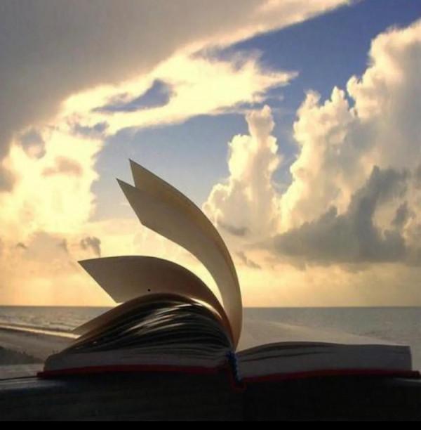 學會以下兩點,讀書將會變得既輕鬆又有趣 學會以下兩點,讀書將會變得既輕鬆又有趣