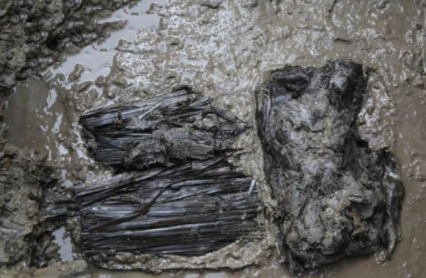 1994年，湖北挖出千年楚墓，出土稀世珍寶，墓主人是屈原？